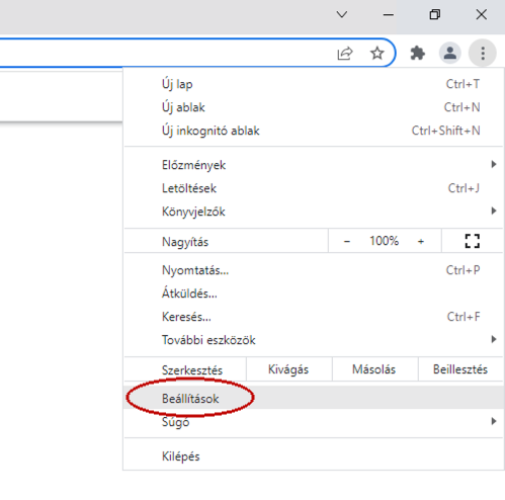 google_chrome_1.png